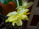 DSCN3557