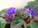 DSCN3558