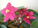 DSCN3559