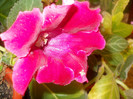 DSCN3561