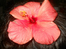 DSCN3571