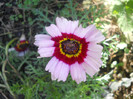 DSCN3702
