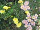 DSCN3707