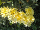 DSCN3711