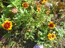 DSCN3713