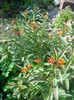DSCN3719