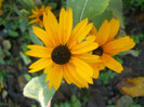 DSCN3735