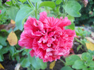 DSCN3741