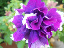 DSCN3742