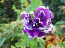 DSCN3744