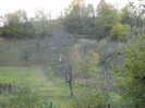 Picture 007