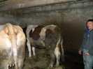 Picture 014