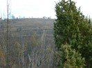 Picture 025