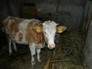 Picture 027