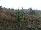 Picture 030