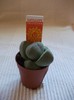 lapidaria