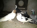 2012-11-03 21.44.37