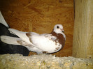 2012-11-03 21.57.55
