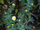 DSCN0698