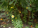 DSCN0700