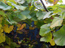 DSCN0712