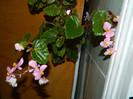 DSCN0753