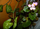 DSCN0758