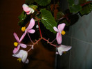 DSCN0761