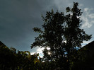 DSCN0764