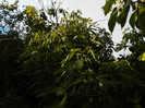 DSCN0767