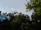 DSCN0769