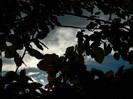 DSCN0770