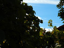 DSCN0775
