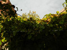 DSCN0777