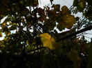 DSCN0780