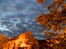 DSCN0875
