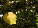DSCN0787