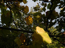 DSCN0789