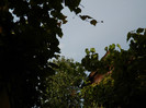 DSCN0790