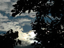 DSCN0796