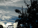 DSCN0797