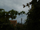 DSCN0800