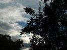 DSCN0803
