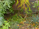 DSCN0805
