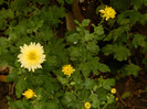 DSCN0807