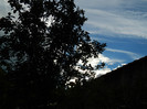 DSCN0808