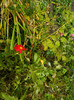 DSCN0815