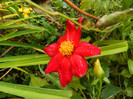 DSCN0816