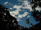DSCN0817