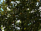 DSCN0819